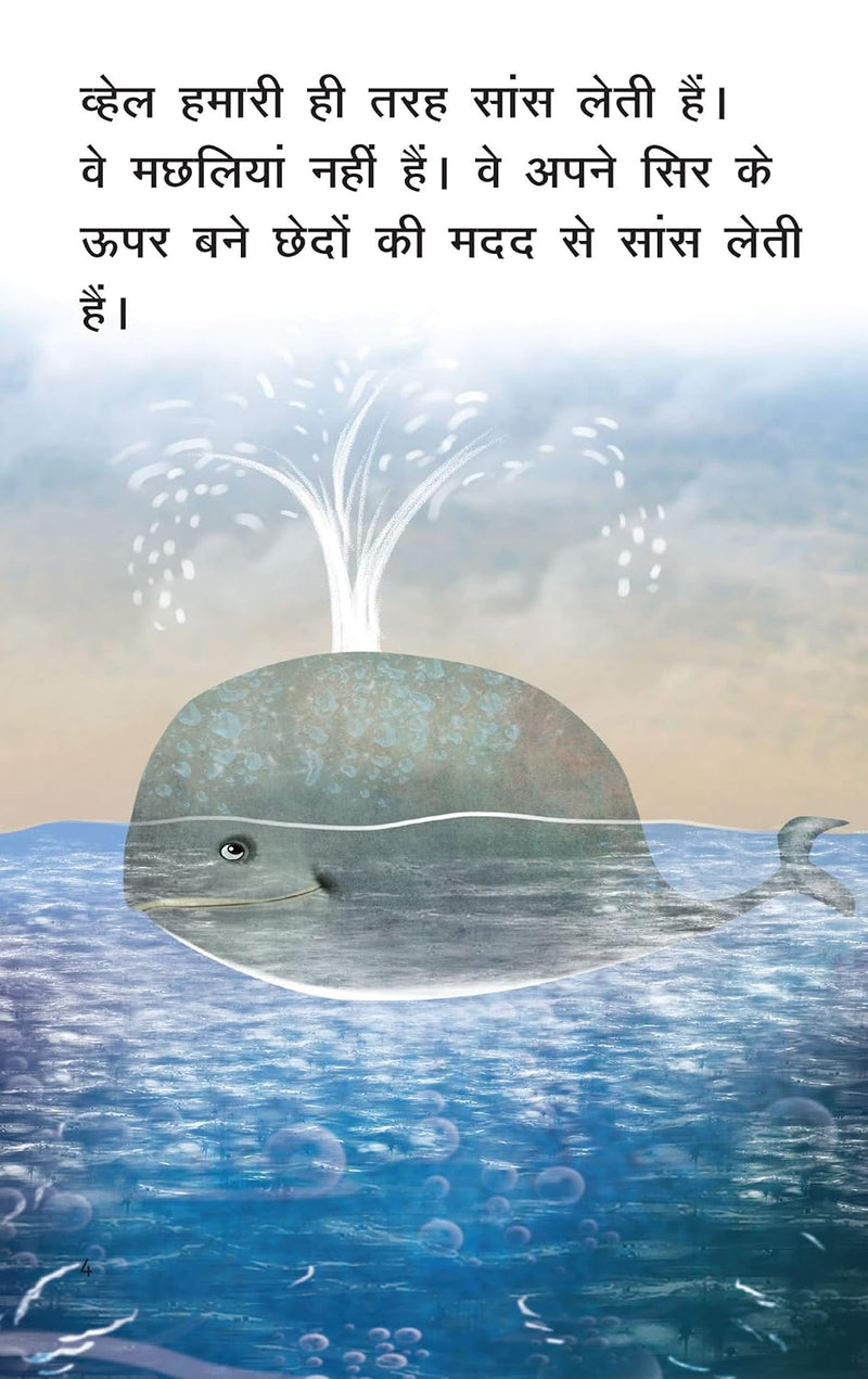 Whale (Hindi) | Little Kitabi – Early Readers