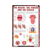 The Mouth, The Tongue, And The Speech Chart, Biology chart illustrating the Nervous system