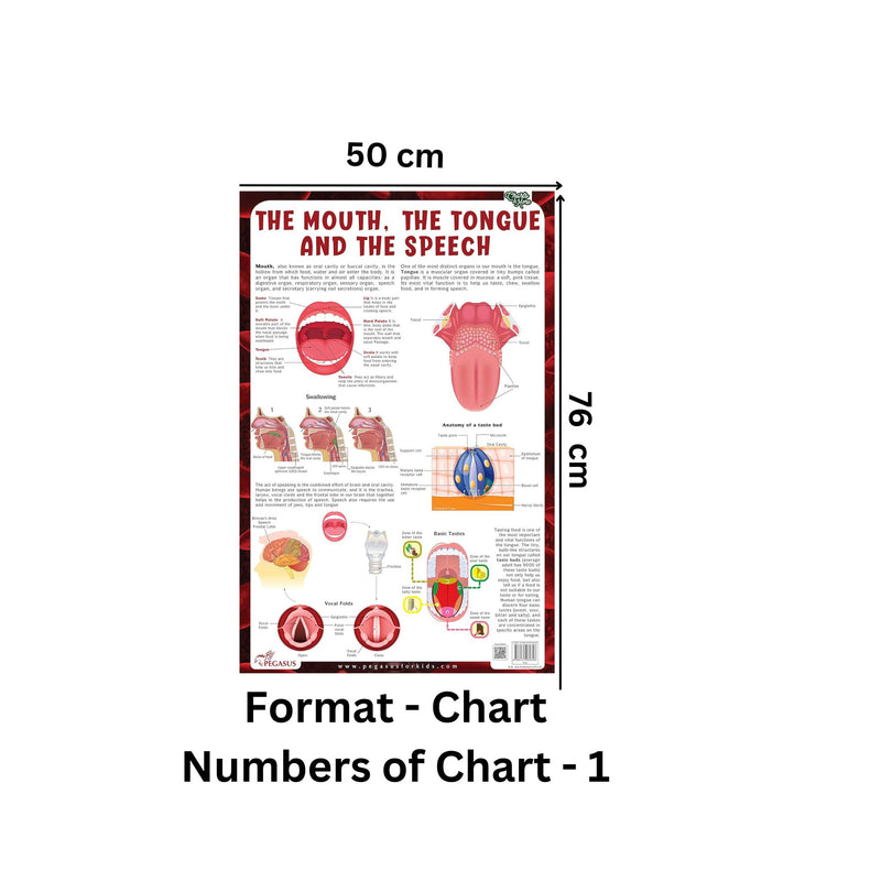 The Mouth, The Tongue and The Speech - Thick Laminated Chart Wall Chart