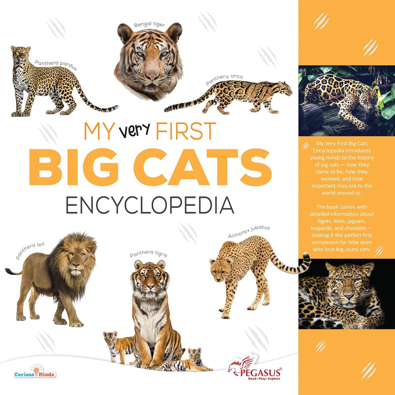 My Very First Big Cats Encyclopedia– Explore Lions, Tigers, Cheetahs & More!