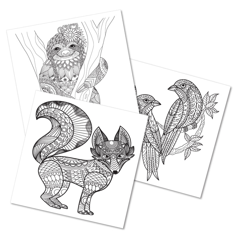 Mandala Coloring Book – Nature Colouring Book for Adults (Age 9+ Years) | 24 Detailed Nature Designs