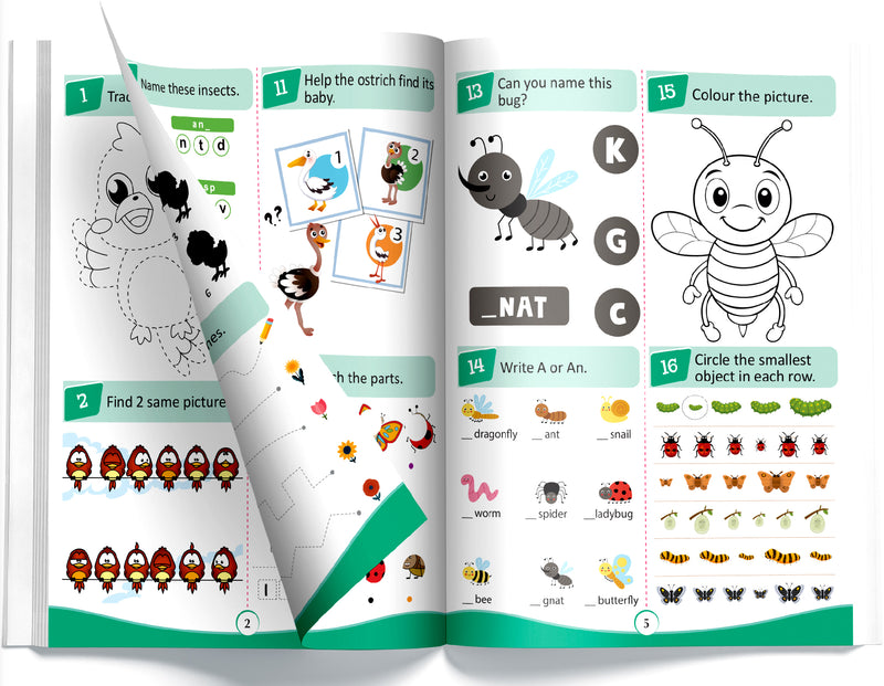 365 Birds & Bugs Activity Book