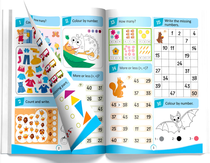 365 Maths Activity Book