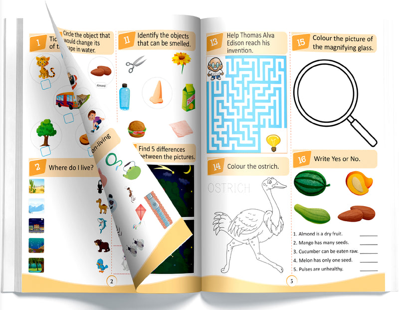365 Science Activity Book