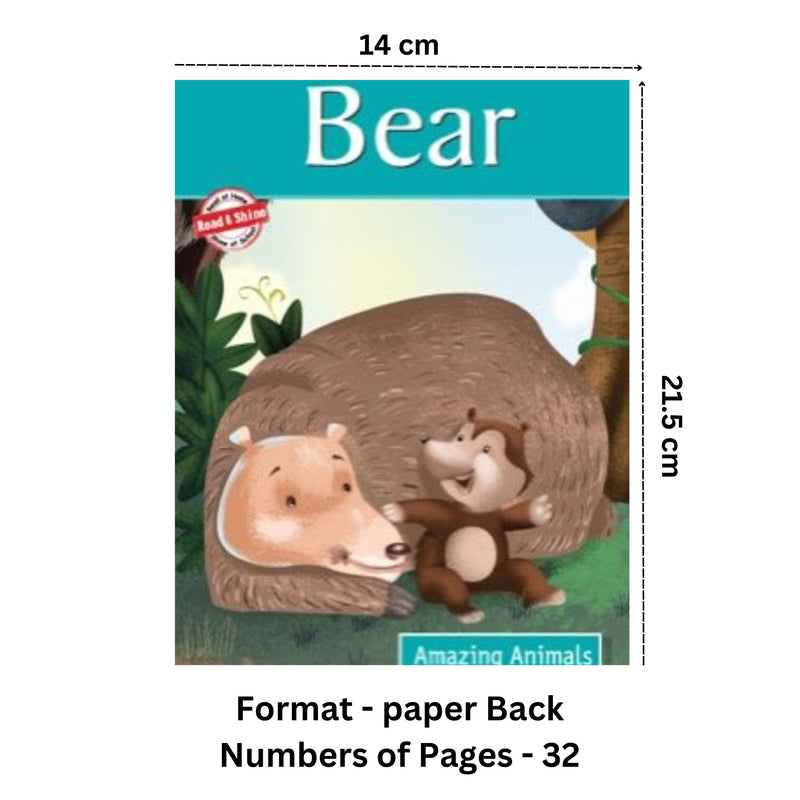 Bear - Amazing Animals