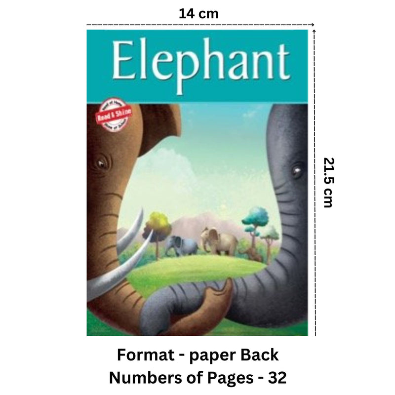 Elephant - Amazing Animals