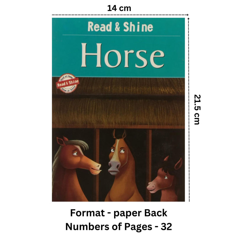 Horse - Amazing Animals