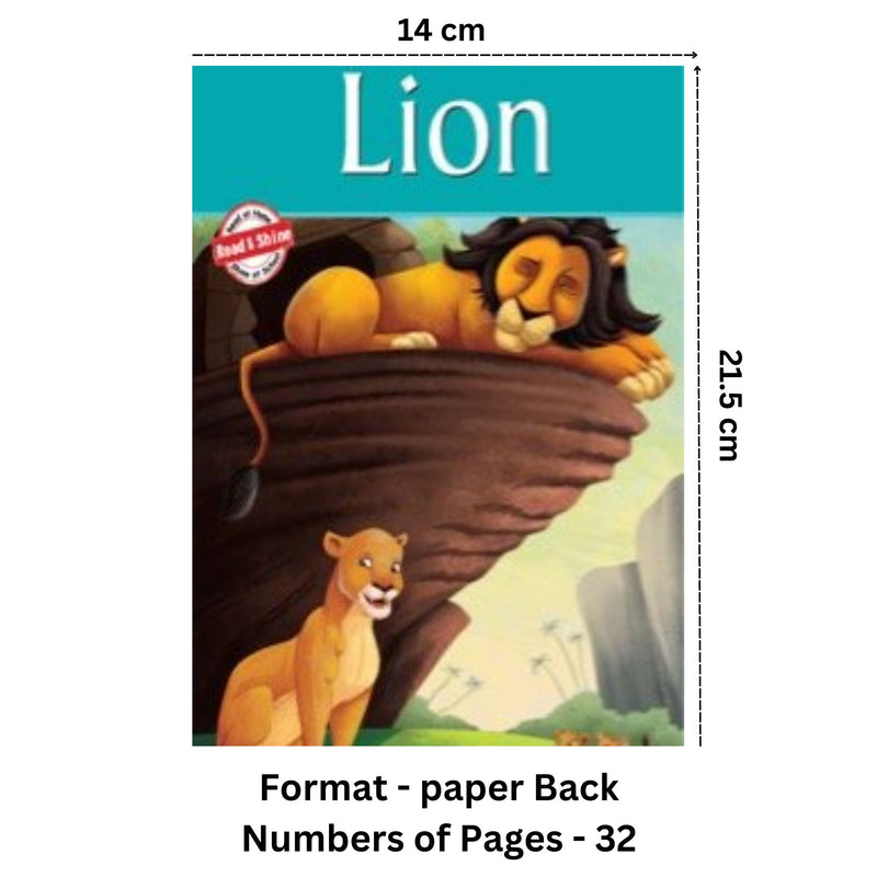 Lion - Amazing Animals