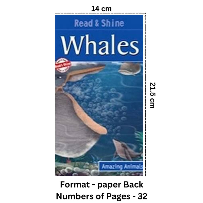 Whale - Amazing Animals