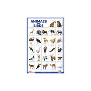 Laminated Animals & Birds Learning Chart, Educational Animals & Birds children Poster's 