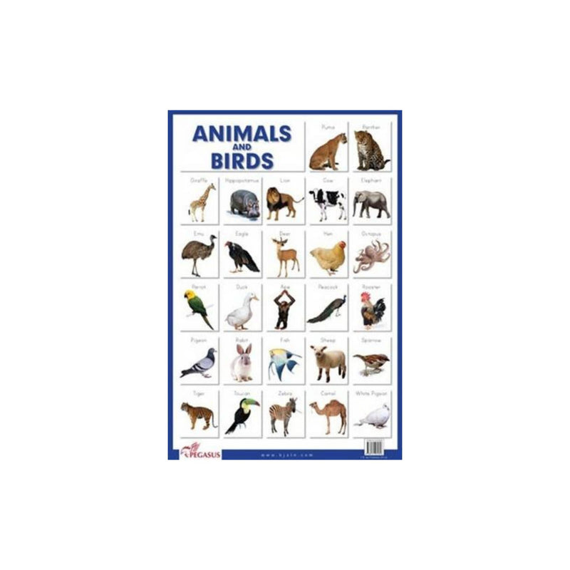 Laminated Animals & Birds Learning Chart, Educational Animals & Birds children Poster's 