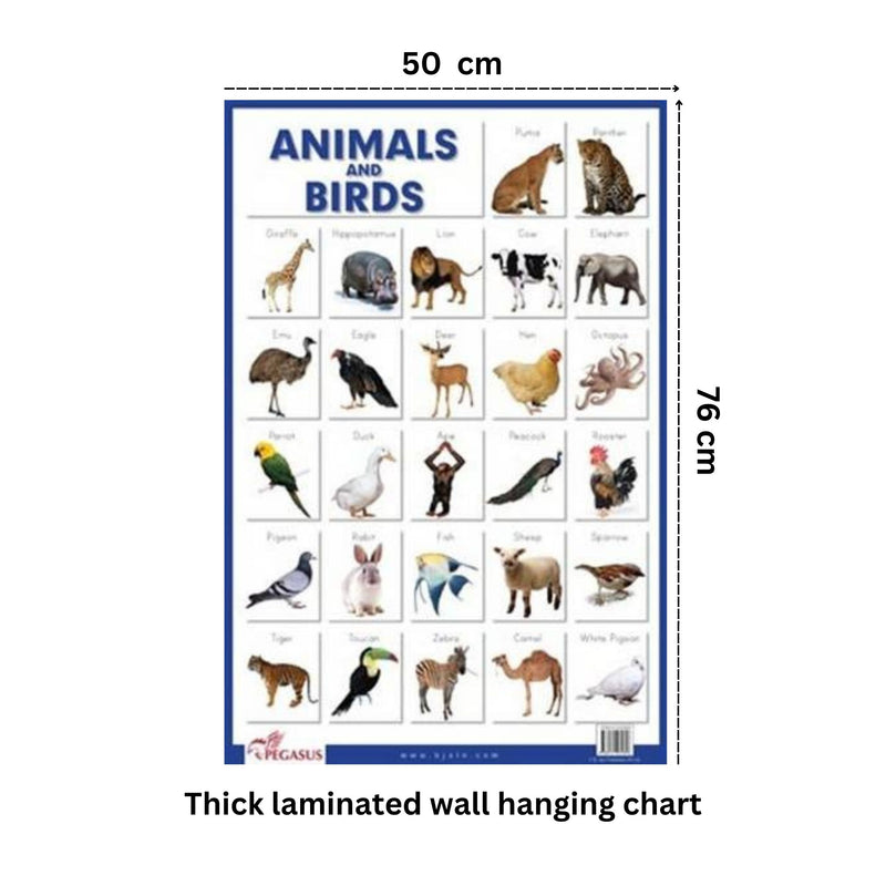 Animals & Birds - Thick Laminated Educational Chart