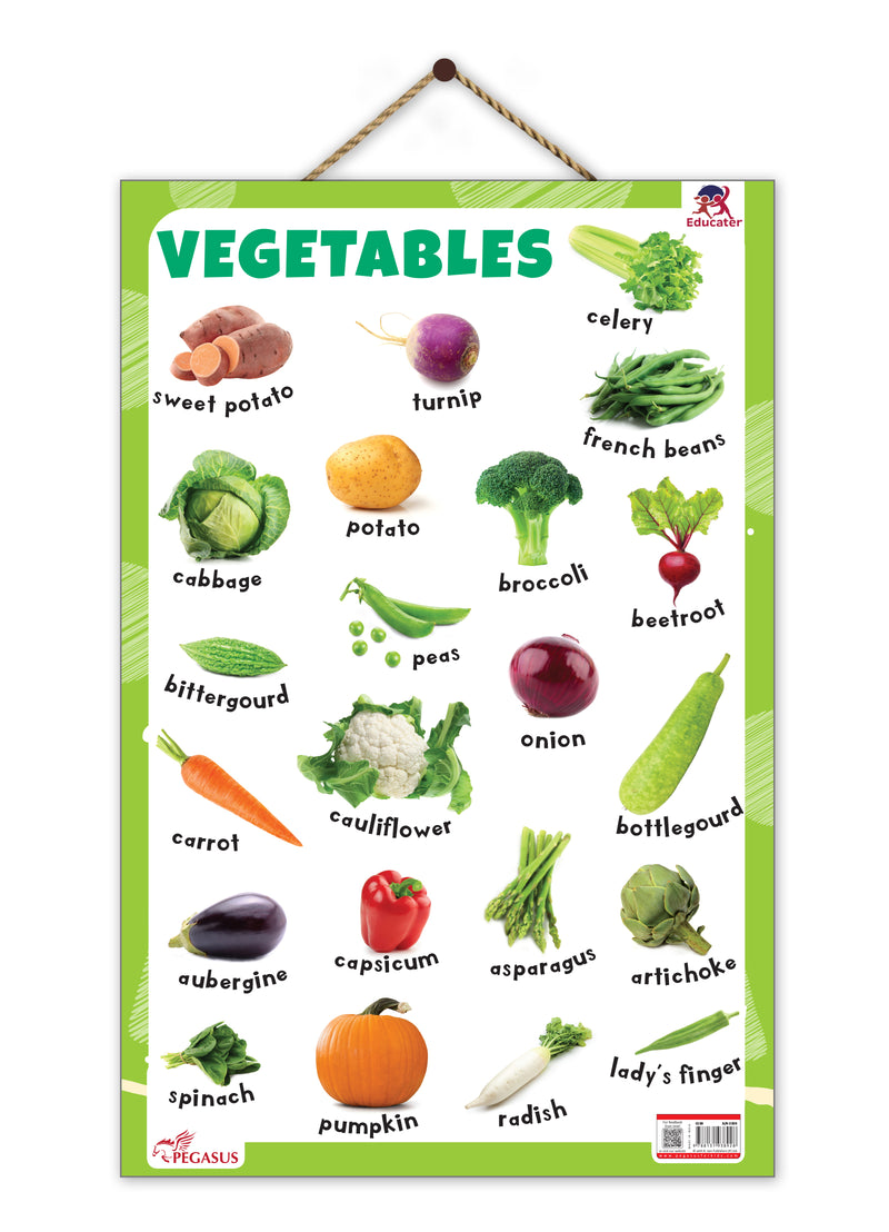 Vegetables Educational Wall Chart for Kids – Learning Poster with Vegetable Names & Pictures (Age 2+ Years)