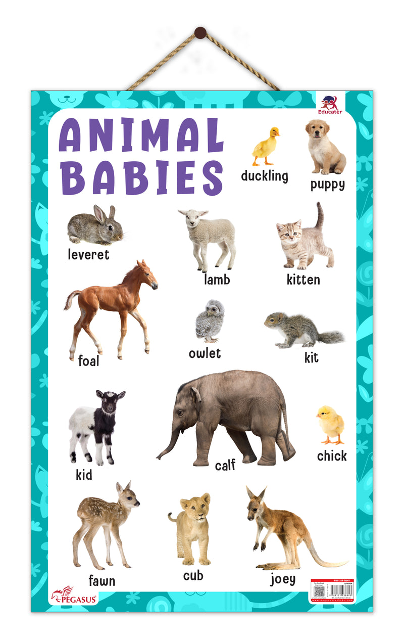 Animal Babies - Thick Laminated Primary Chart