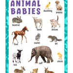 Animal Babies - Thick Laminated Primary Chart