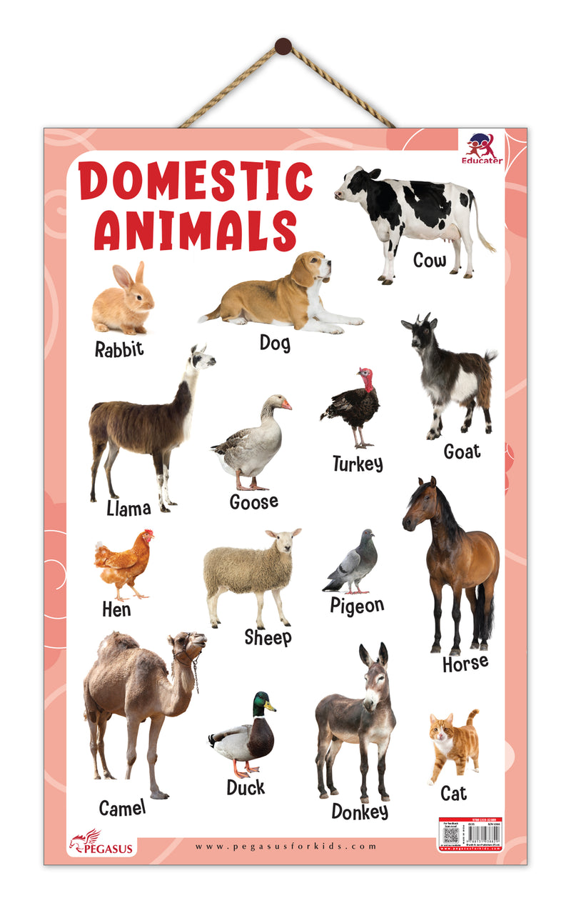 Domestic Animals - Thick Laminated Primary Chart