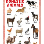 Domestic Animals - Thick Laminated Primary Chart