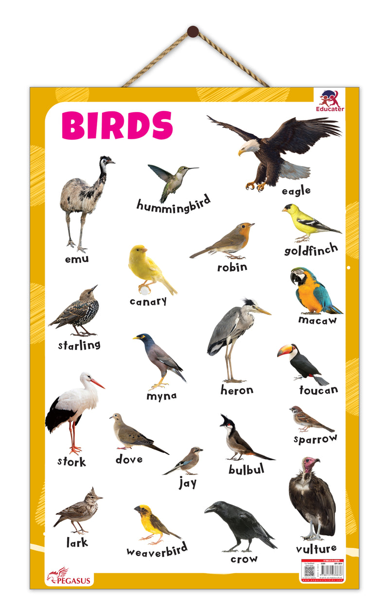 Birds - Thick Laminated Primary Chart
