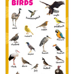 Birds - Thick Laminated Primary Chart