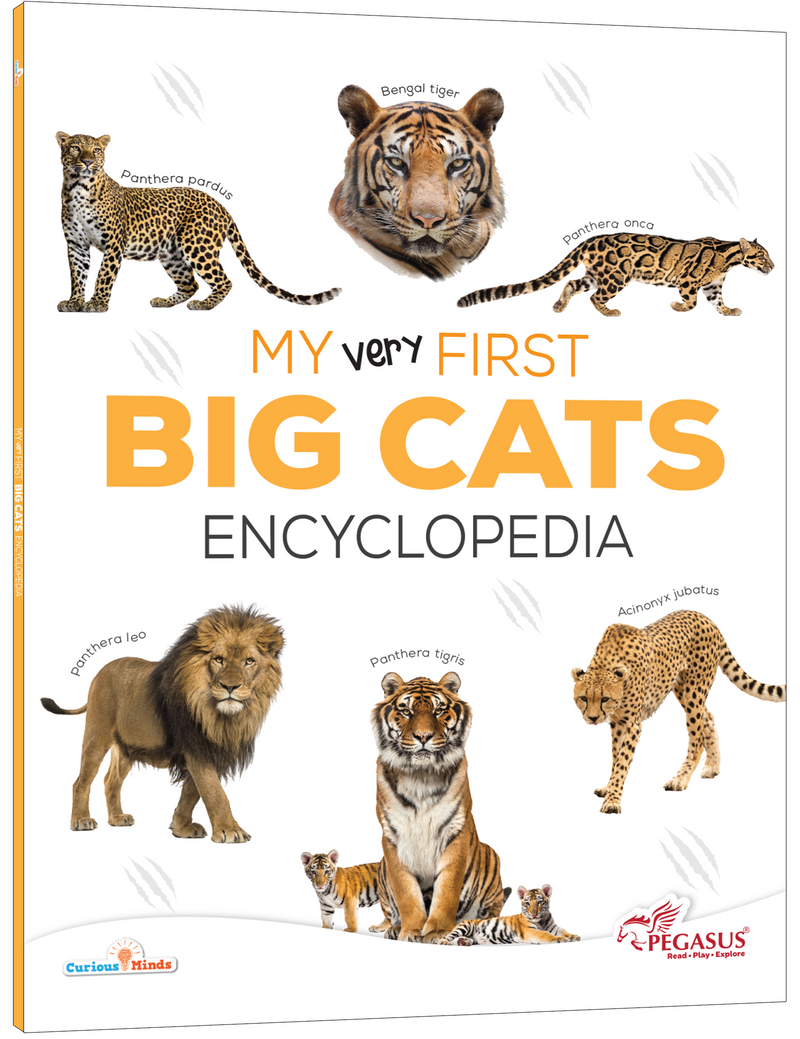 My Very First Big Cats Encyclopedia | Wildlife Book for Kids (Age 4+ Years)