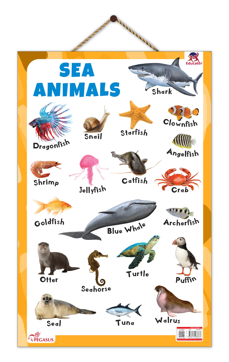Sea Animals - Thick Laminated Primary Chart