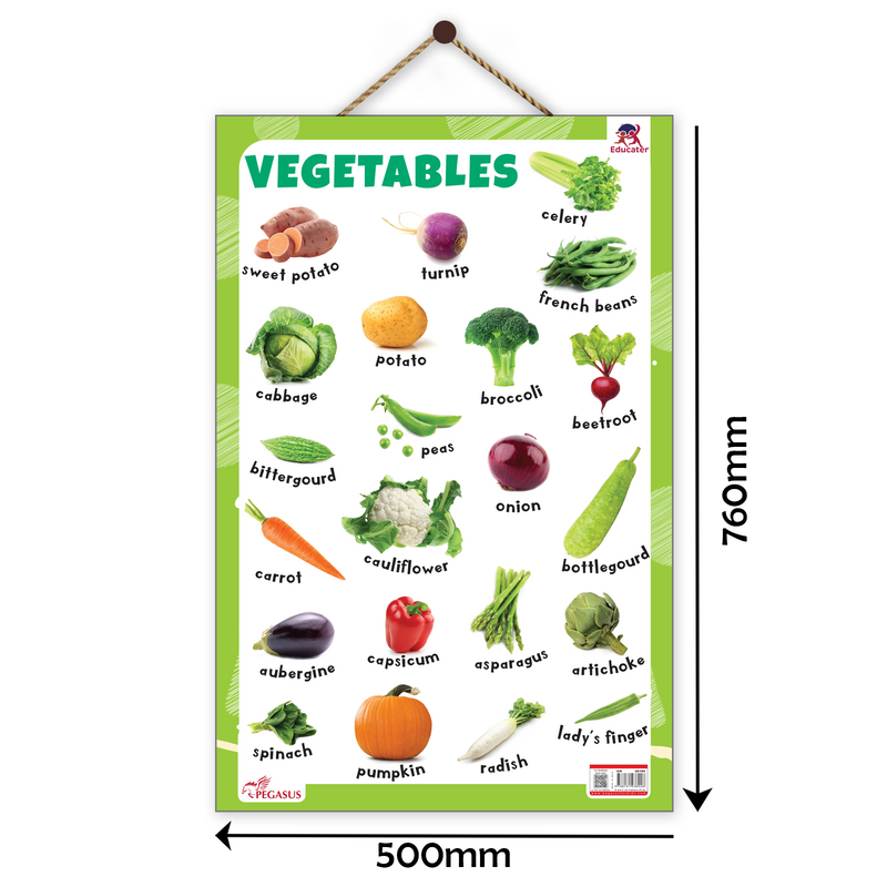 Vegetables Educational Wall Chart for Kids – Learning Poster with Vegetable Names & Pictures (Age 2+ Years)