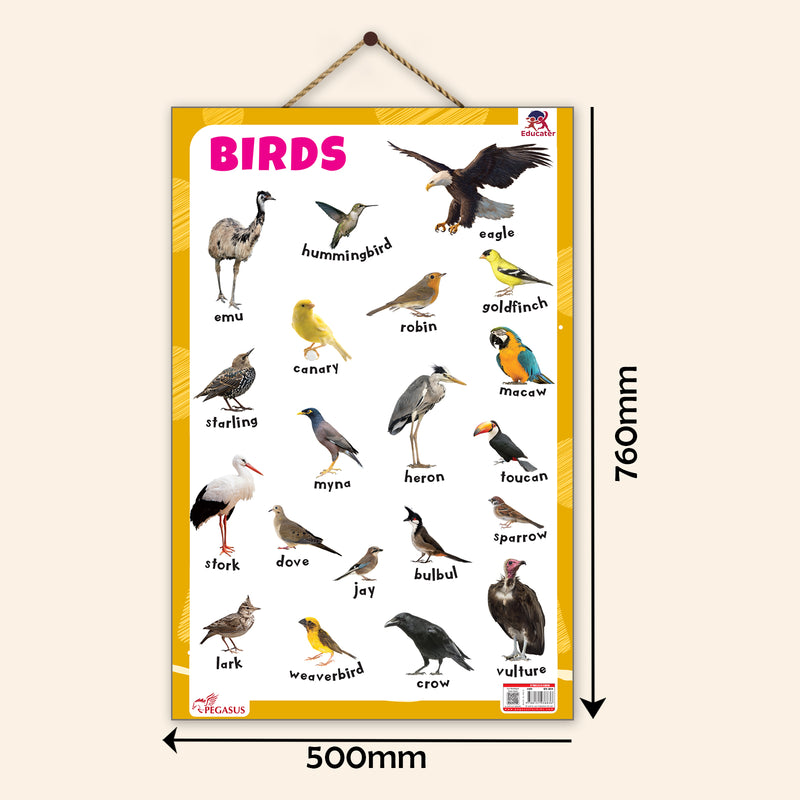 Birds - Thick Laminated Primary Chart