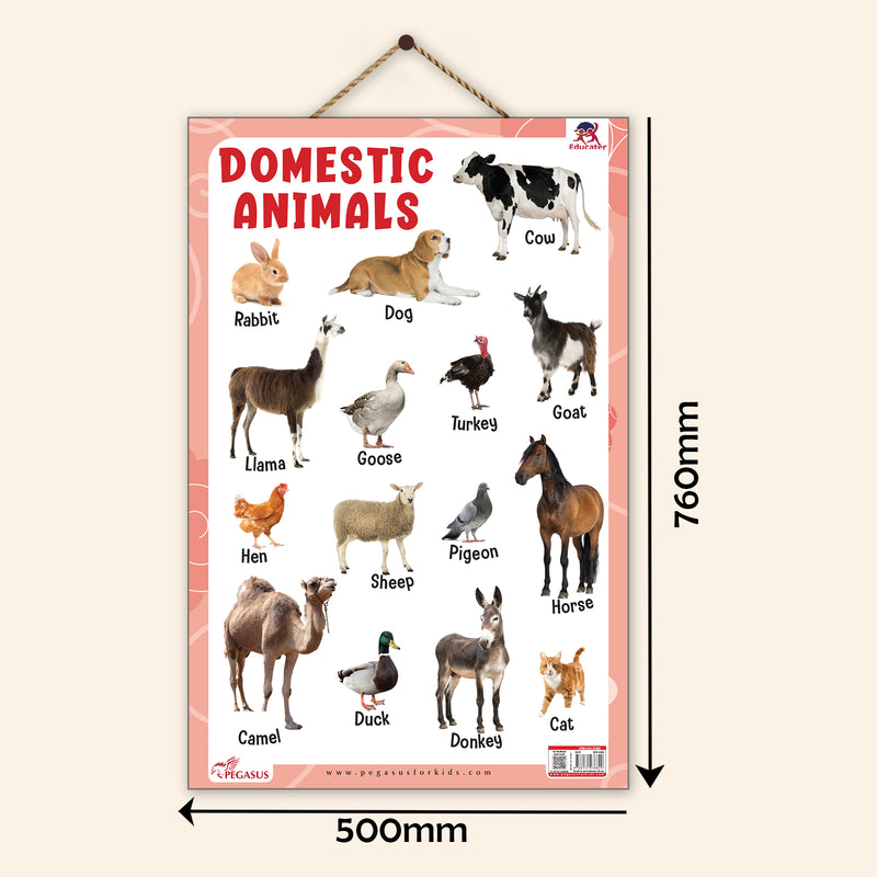 Domestic Animals - Thick Laminated Primary Chart