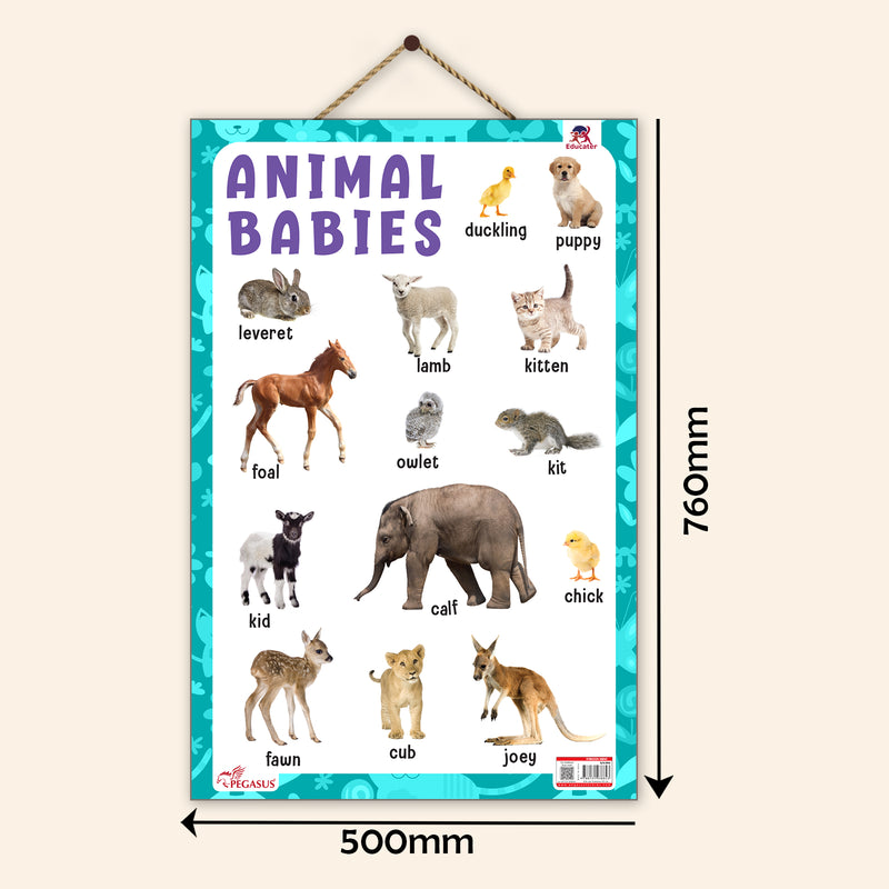 Animal Babies - Thick Laminated Primary Chart