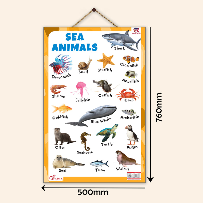 Sea Animals - Thick Laminated Primary Chart
