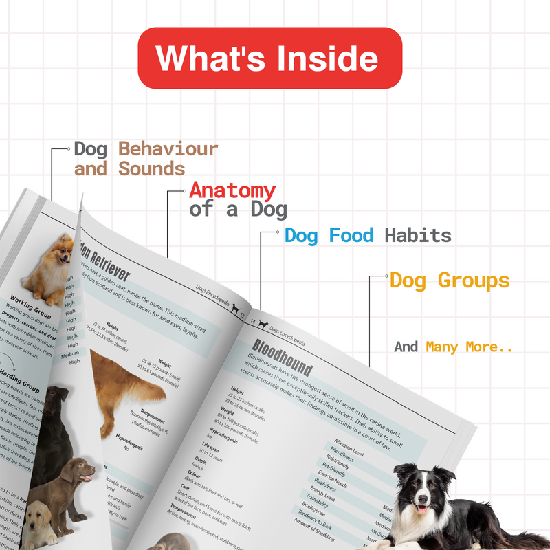 My Very First Dog Encyclopedia for Kids | Dog Breeds, Behaviour, Food Habits & Dog Care Basics (Age 4+ Years)