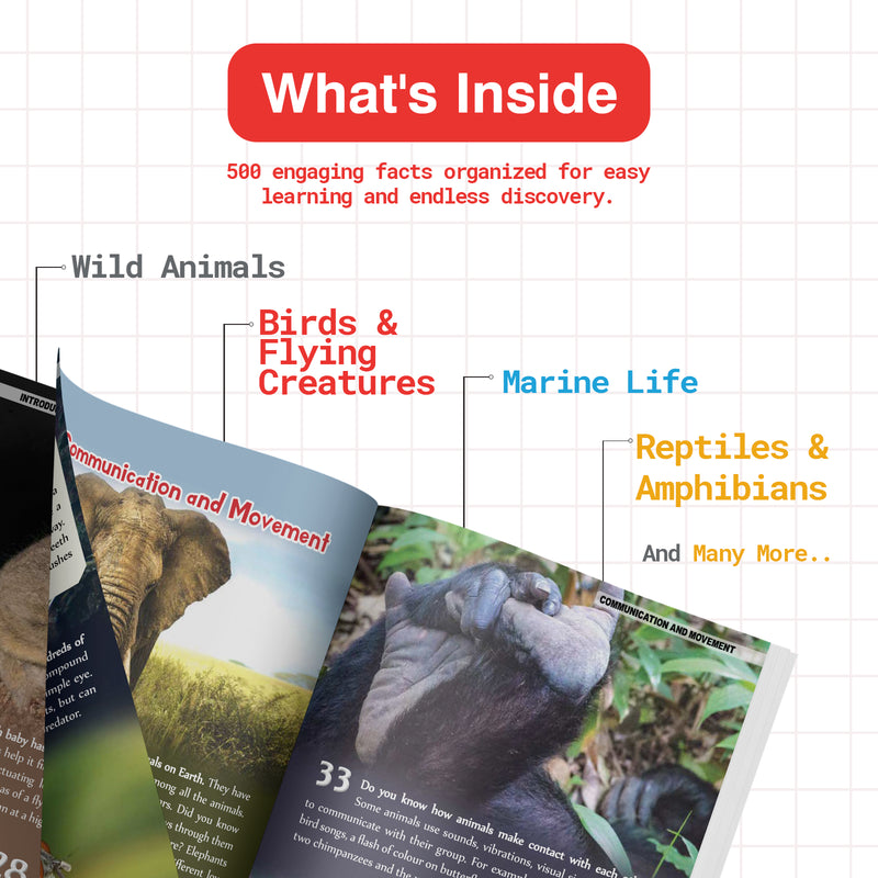 500 Fascinating Animal Facts for Kids