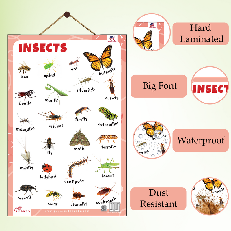 Insects Educational Wall Chart | Laminated Learning Poster with Big Fonts & Realistic Insect Pictures (Age 2+ Years)
