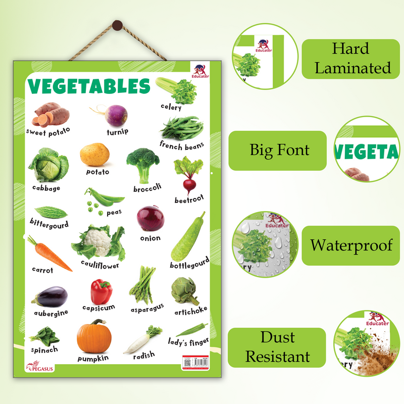 Vegetables Educational Wall Chart for Kids – Learning Poster with Vegetable Names & Pictures (Age 2+ Years)