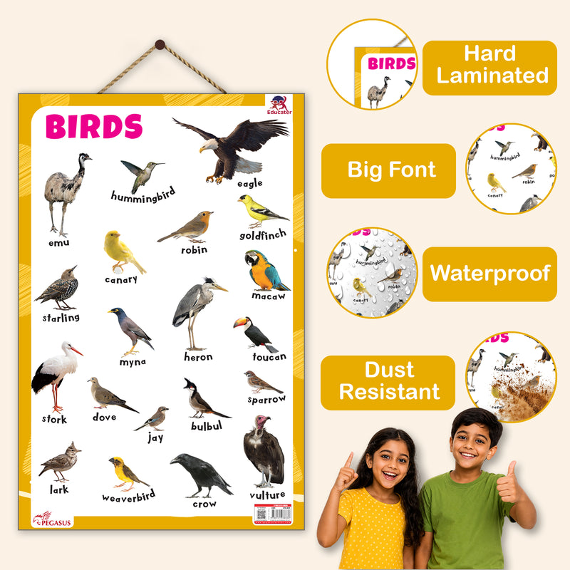 Birds - Thick Laminated Primary Chart
