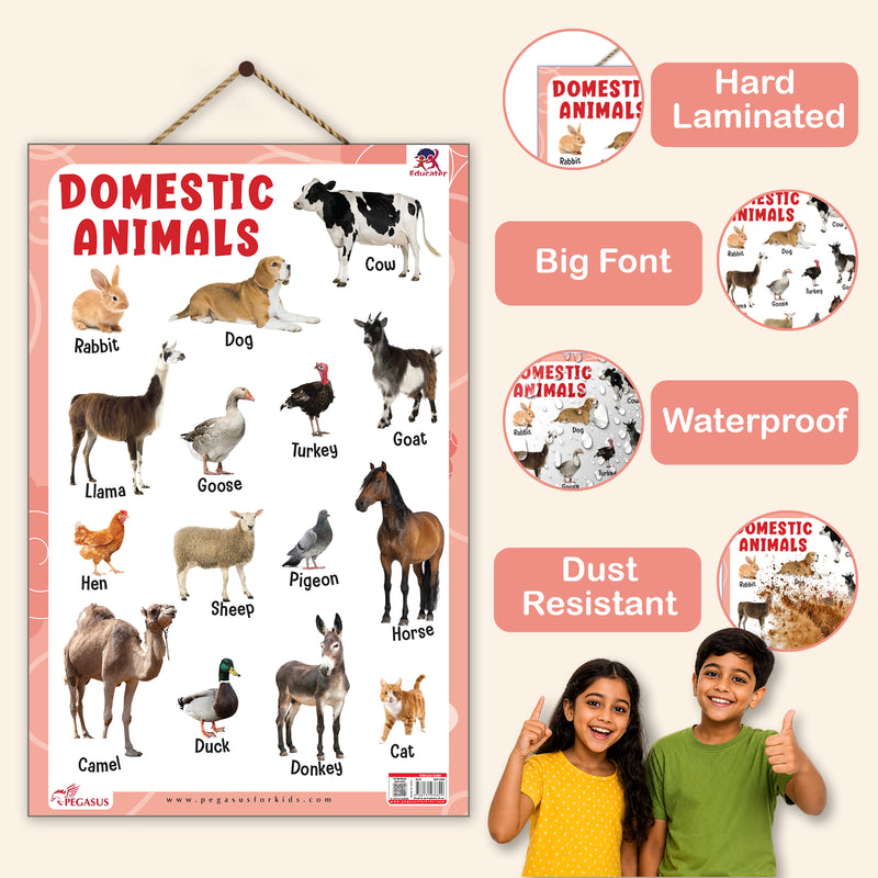 Domestic Animals - Thick Laminated Primary Chart