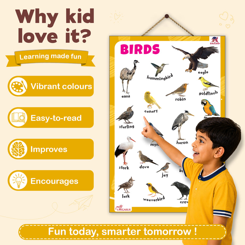 Birds - Thick Laminated Primary Chart