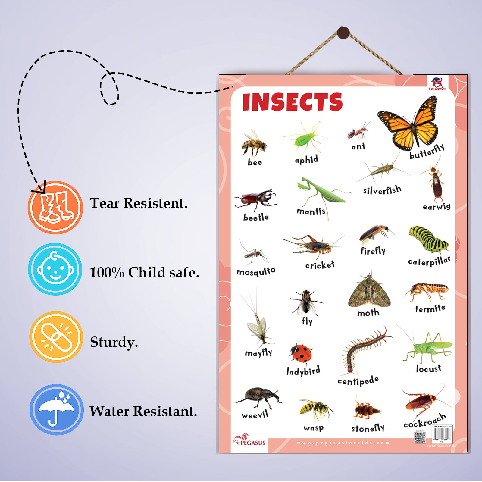 6 Insects Chart Insects Educational Wall Chart for Kids – Learning Poster with Insect ...