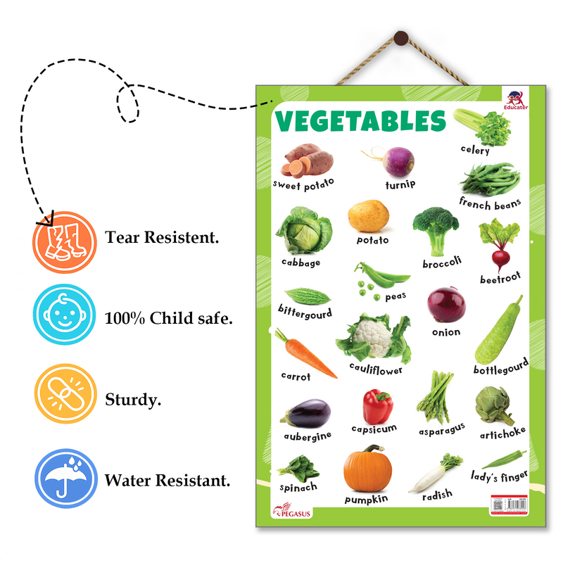 Vegetables Educational Wall Chart for Kids – Learning Poster with Vegetable Names & Pictures (Age 2+ Years)