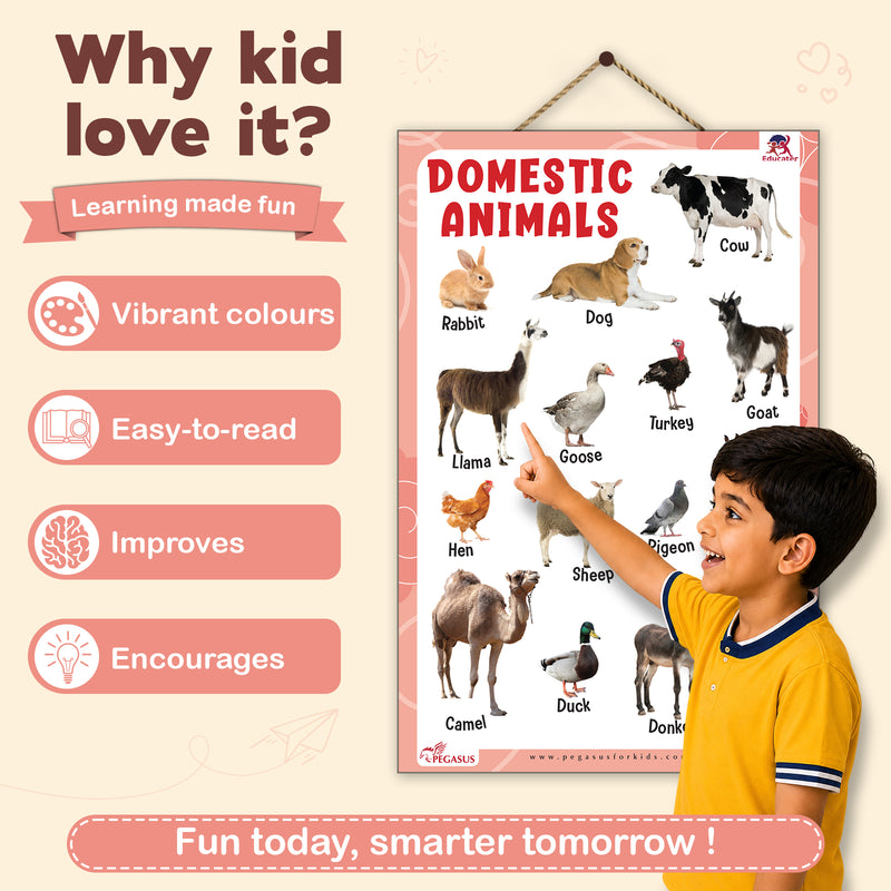 Domestic Animals - Thick Laminated Primary Chart