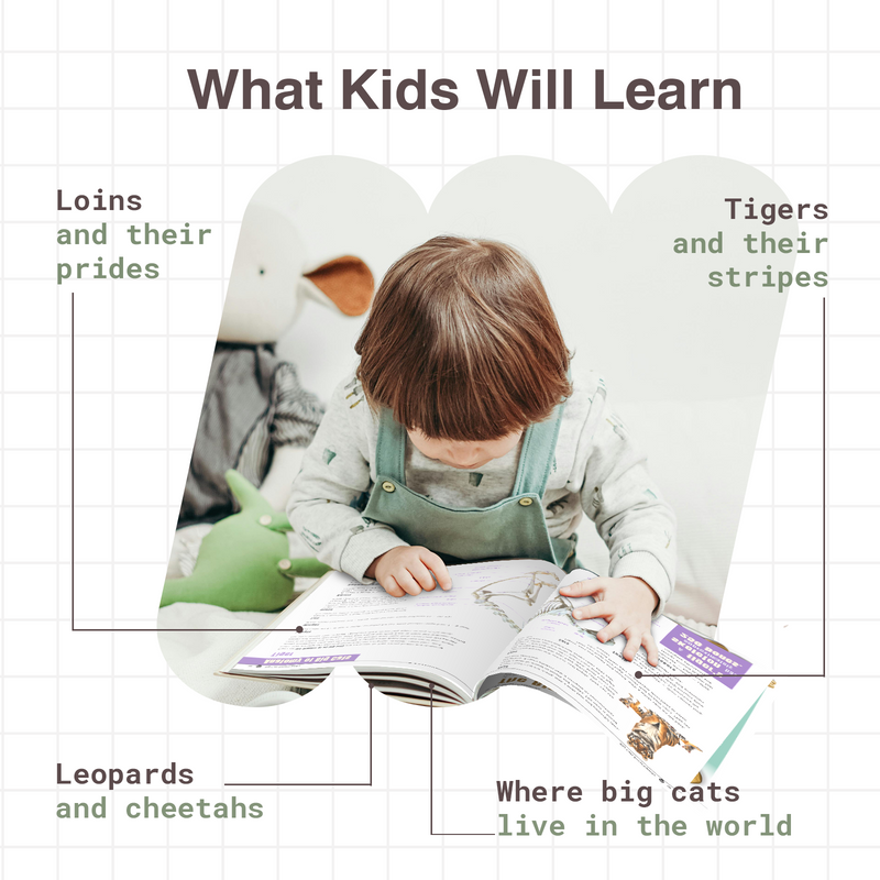 My Very First Big Cats Encyclopedia | Wildlife Book for Kids (Age 4+ Years)