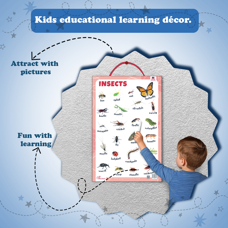 Insects Educational Wall Chart | Laminated Learning Poster with Big Fonts & Realistic Insect Pictures (Age 2+ Years)