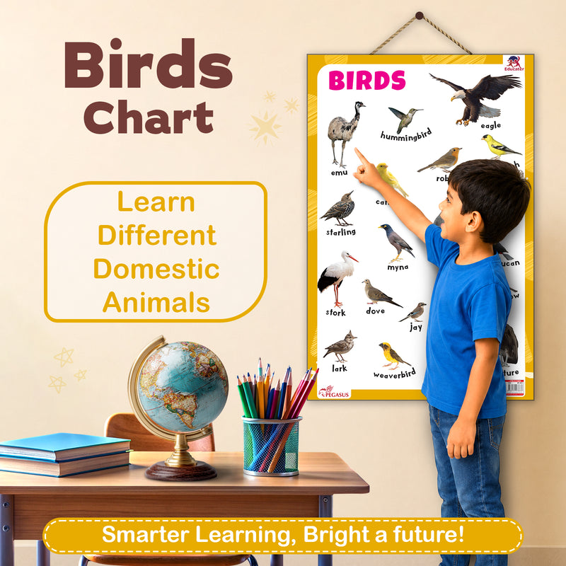 Birds - Thick Laminated Primary Chart