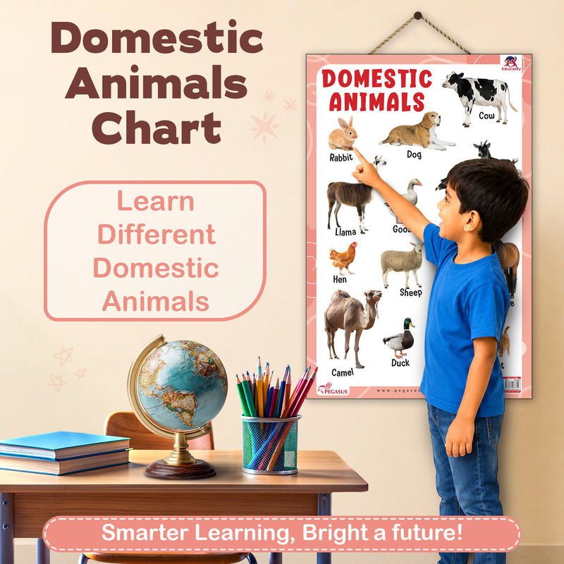 Domestic Animals - Thick Laminated Primary Chart