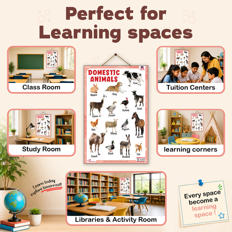 Domestic Animals - Thick Laminated Primary Chart