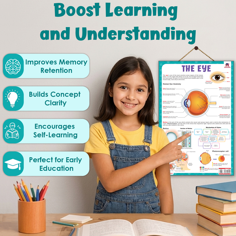 The Eye – Human Eye Structure & Vision Learning Poster (Age 4+ Years)