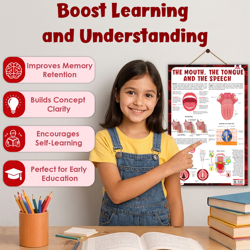 The Mouth, The Tongue and The Speech – Human Mouth Structure, Taste & Speech Learning Poster (Age 4+ Years)