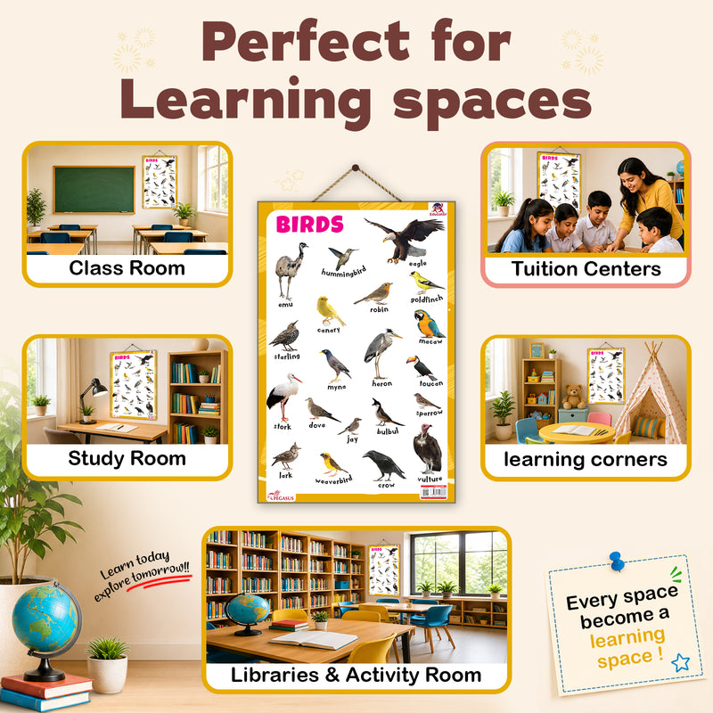 Birds - Thick Laminated Primary Chart