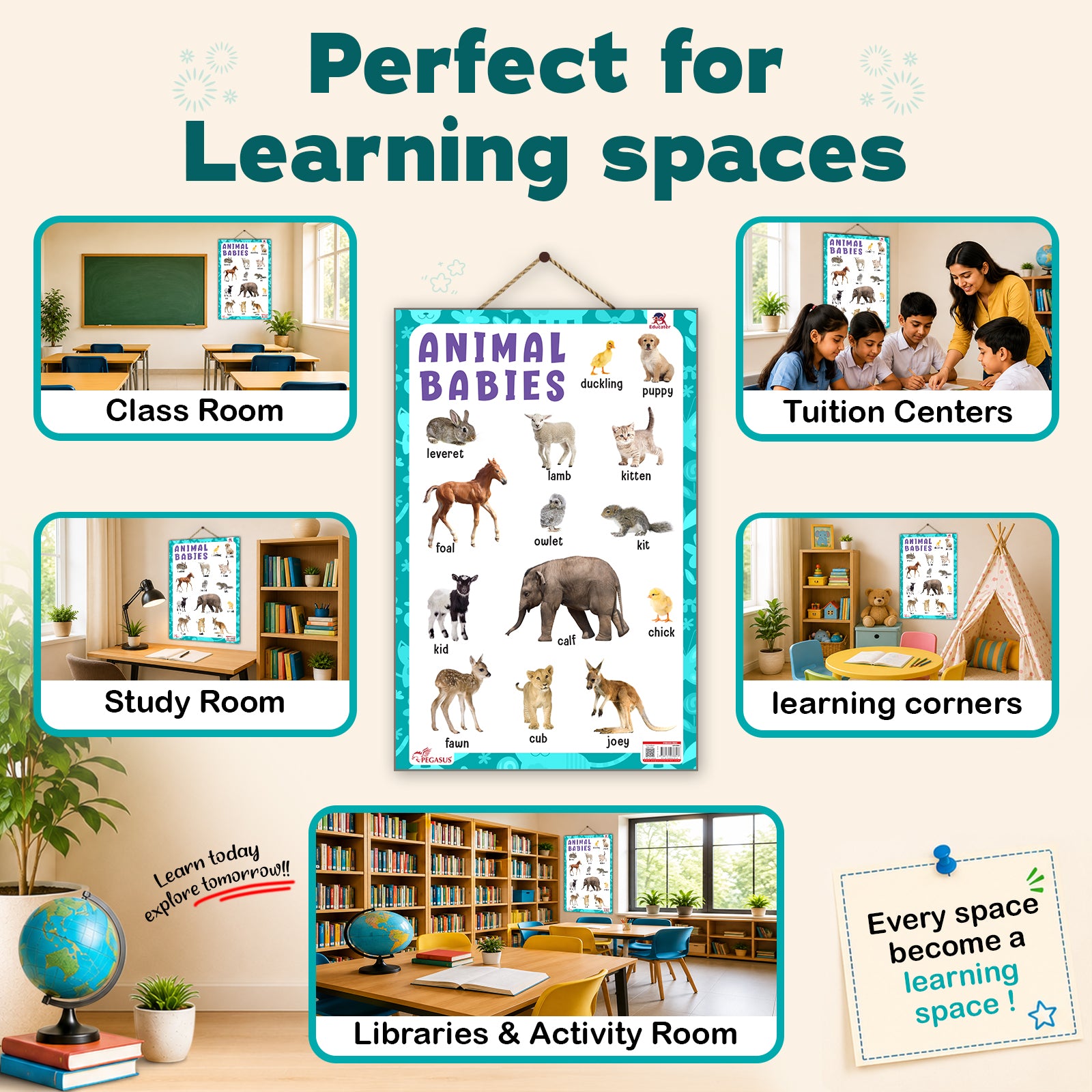 Animal Babies - Thick Laminated Primary Chart — pegasusforkids