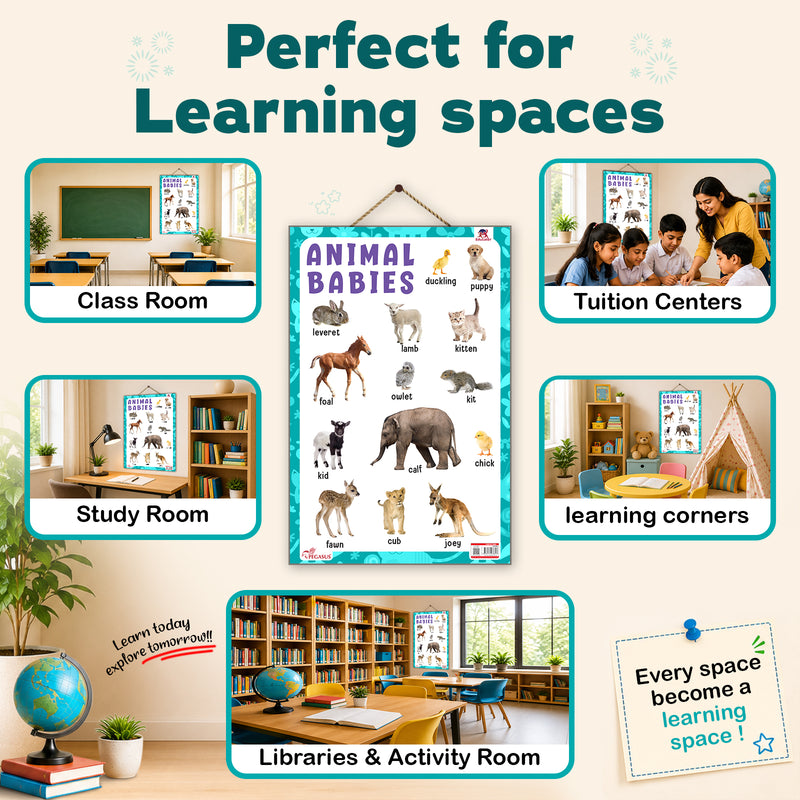Animal Babies - Thick Laminated Primary Chart